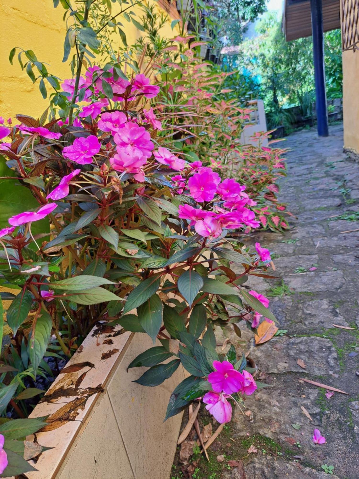Casa Ilhabela Entre A Praia Grande & Juliao Bilik gambar